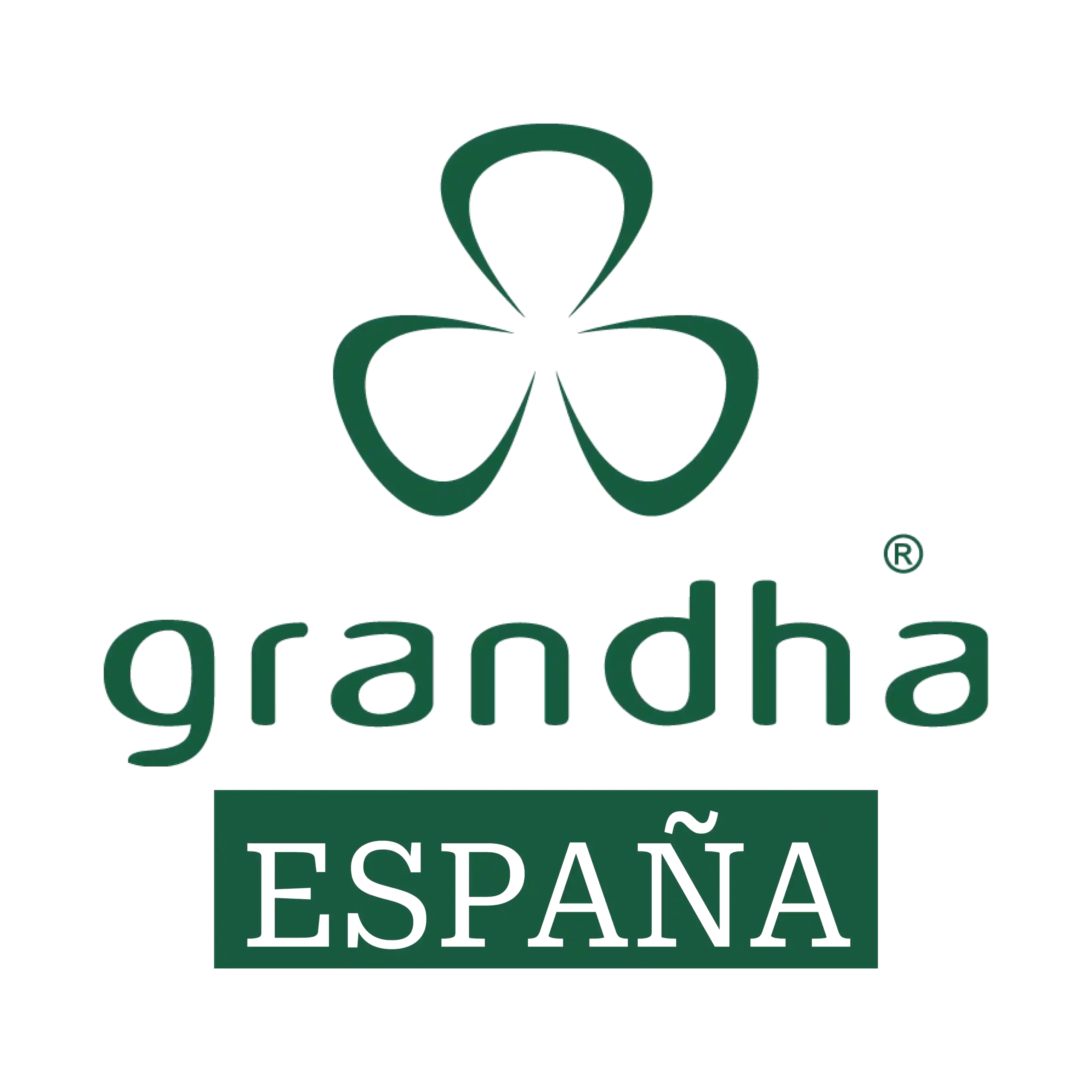 Grandha-Espana-transparente-scaled